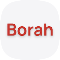 Borah SP