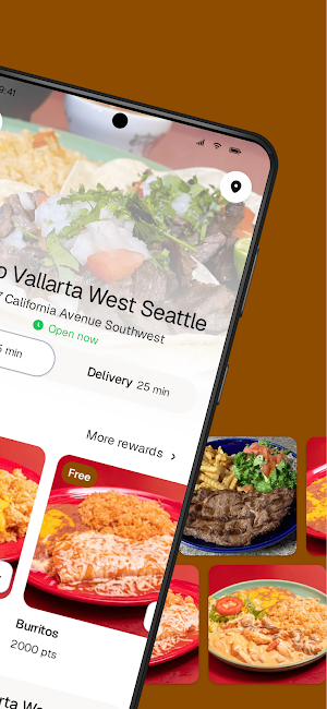 Puerto Vallarta West Seattle Screenshot 1