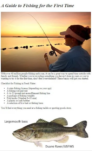 How to Fishing Screenshot 3