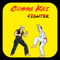Cobra Kai Fighter