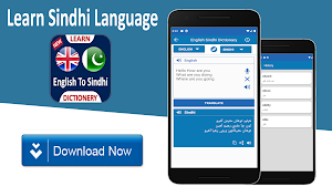 English Sindhi Dictionary Screenshot 0