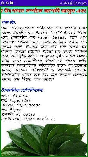 নিরাপদ পান উৎপাদন~Betel Leaf Cultivation Screenshot 1