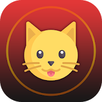 Cat Breed: Somali, Rex, burmes