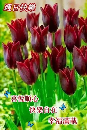 週末愉快，午安，晚安 Screenshot 2