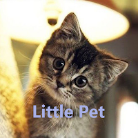 Little Pet