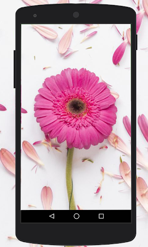 Flower Wallpapers HD Screenshot 0