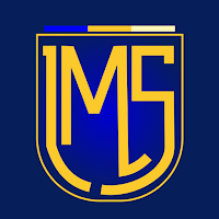 Liga Marplatense Senior