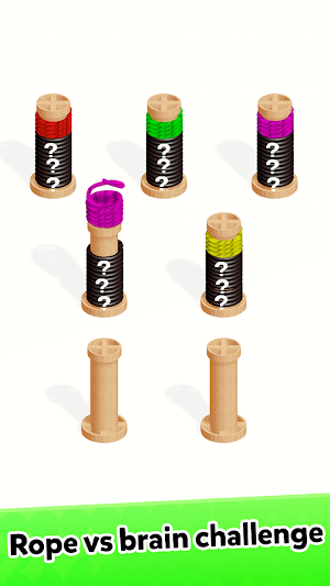 Rope sort Puzzle Screenshot 3