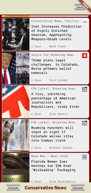 TNN Conservative  News Screenshot 0