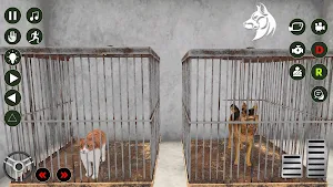 Animal Shelter Sim 3D Rescue Screenshot 2