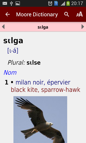 Dictionnaire Mooré screenshot 1