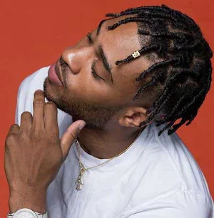 Dreadlocks Hairstyle for Men Screenshot 0