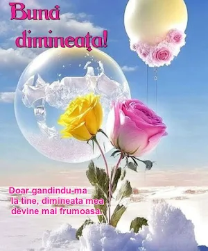 Bună dimineața, seara,noapte Screenshot 1
