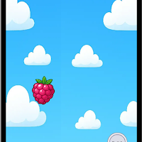 Berry O Bonanzo physicsorter