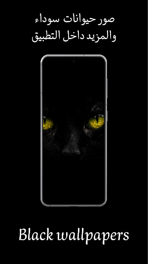 اجمل صور خلفية سوداء عبارات Screenshot 2