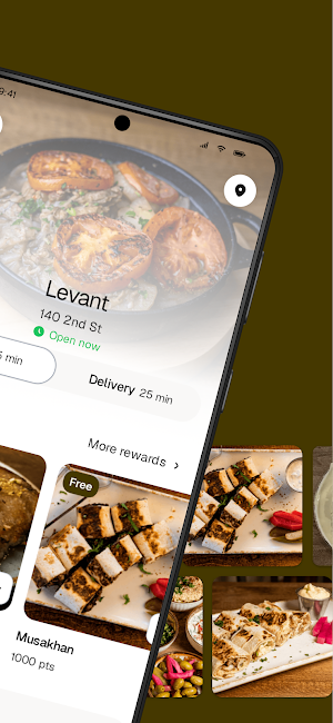 Levant Screenshot 1