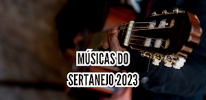 Musicas do Sertanejo Screenshot 1