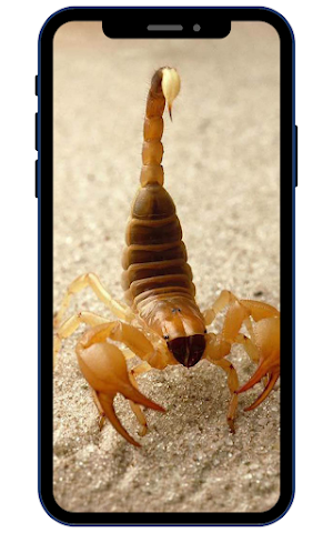 Scorpion Wallpapers Screenshot 3