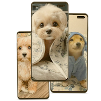 Baby Dogs Wallpaper HD