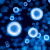 Neon Microcosm Lite