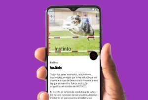 Curso de Adiestramiento Canino Screenshot 3