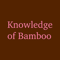 Bamboo: A knowledge app