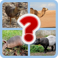 ZoologiPuzzle