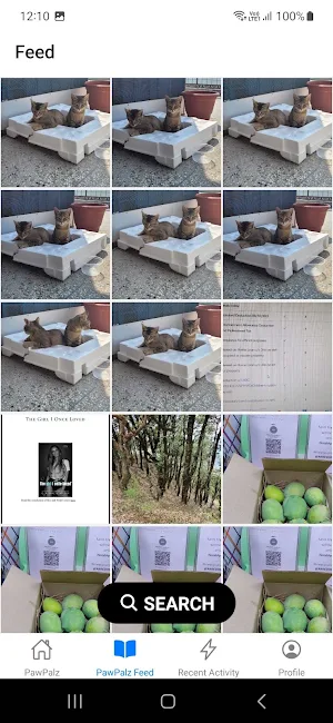 PawPalz - Pets Share Stories Screenshot 2