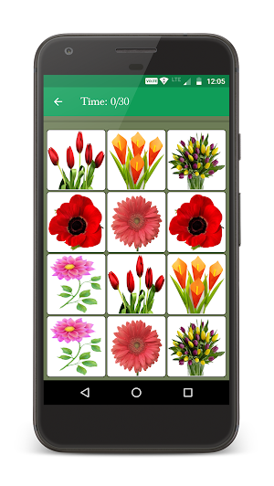Flower Memory Matching Game Screenshot 2