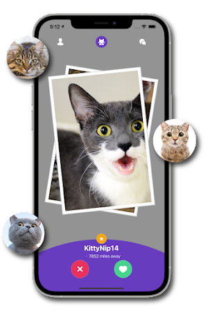 Kitty Nip - Cat Dating App Screenshot 0