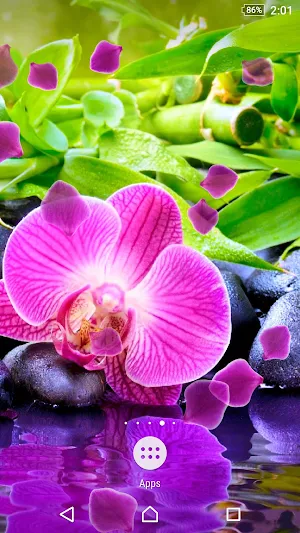 Orchid Live Wallpaper Screenshot 1