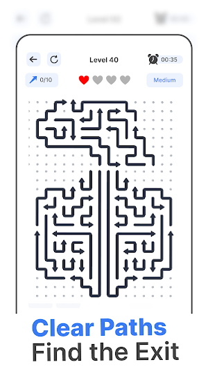 Arrows Puzzle: Escape Puzzle Screenshot 3