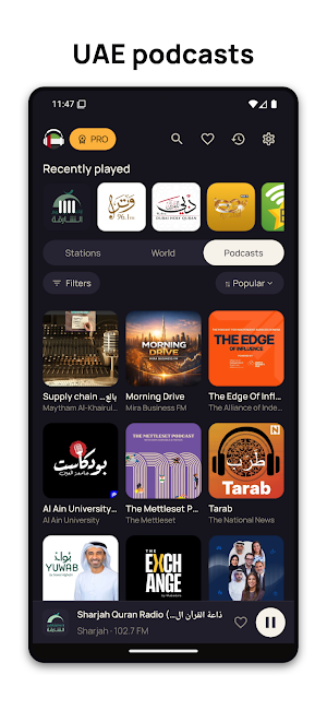 UAE Radio Live Screenshot 2