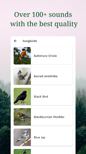 Sound of Bird: Natural Habitat Screenshot 2