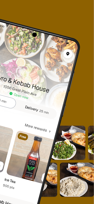 Gyro and Kebab House Screenshot 1