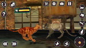 Cat Fighting Battle: Tom Games Screenshot 0