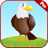 Bird Sounds Animal Kids Games - Puzzle & Coloring