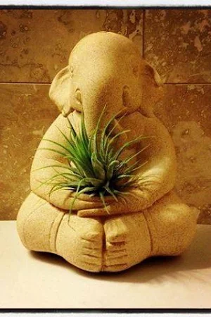 Ganesha Stotram Screenshot 1