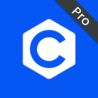 C Examples Pro