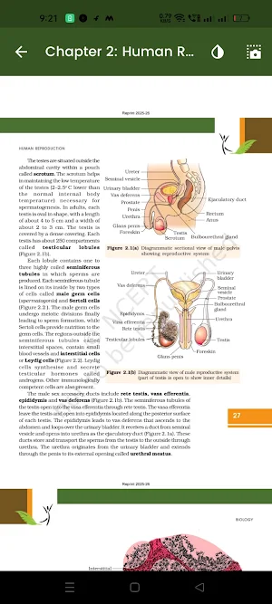 Class 12 Biology NCERT Book Screenshot 1