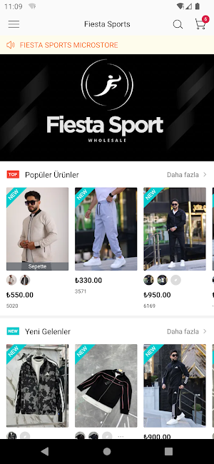 Fiesta Sport Screenshot 1