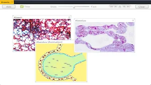 Science SuperLab for Biology Screenshot 3