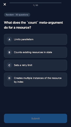 Terraform Associate Practice Screenshot 2