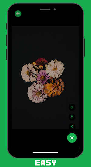 Status Saver Pro & Download Screenshot 1