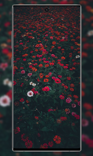 Moody Wallpapers HD Screenshot 2