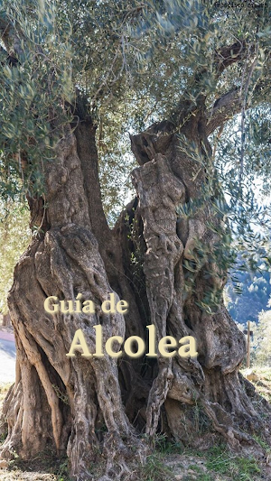 Guía de Alcolea Screenshot 0