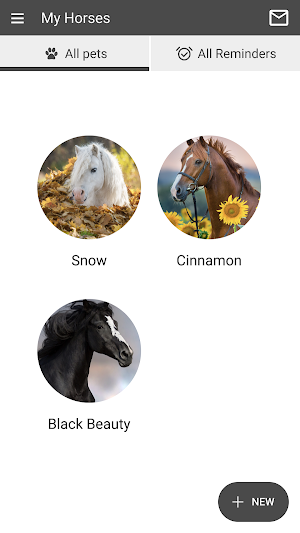 Performance Horse Doc Screenshot 2