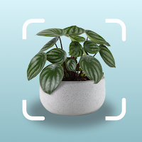 AI plant Identification app