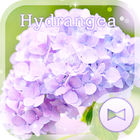 Flower Wallpaper Hydrangea