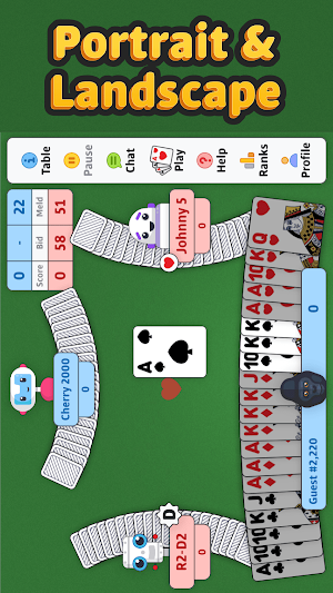 Double Deck Pinochle ‣ Screenshot 2